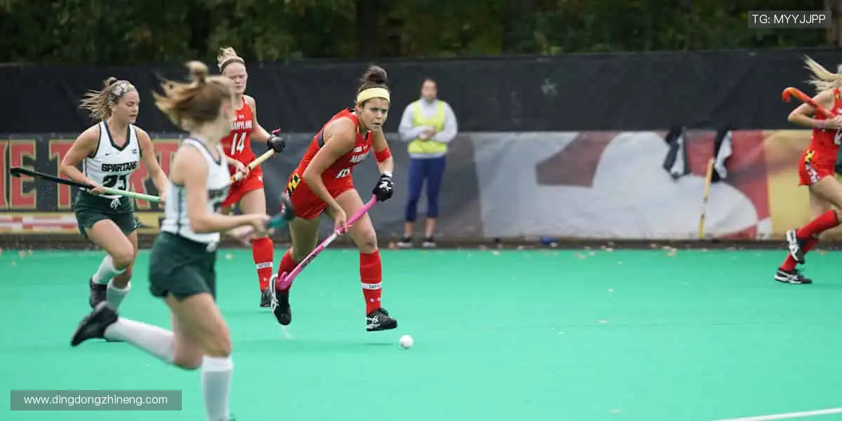 体育周边，冠军同款，你的专属装备库！🏆🎯