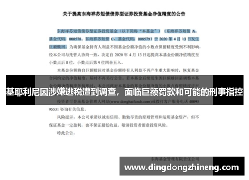 基耶利尼因涉嫌逃税遭到调查，面临巨额罚款和可能的刑事指控
