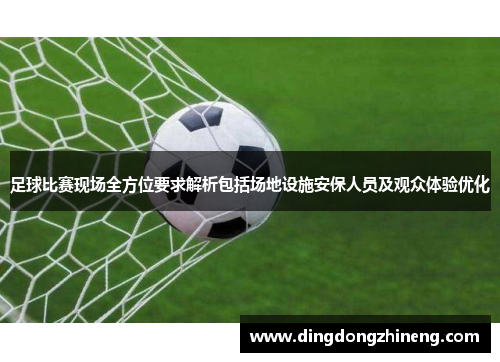 足球比赛现场全方位要求解析包括场地设施安保人员及观众体验优化