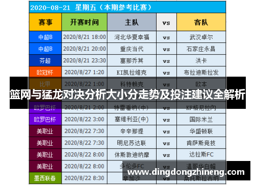 篮网与猛龙对决分析大小分走势及投注建议全解析